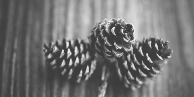 DVD压缩软件终极指南：免费工具与高效压缩技巧