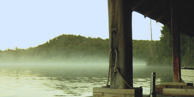 DVD压缩软件终极指南：如何高效压缩DVD并保持画质