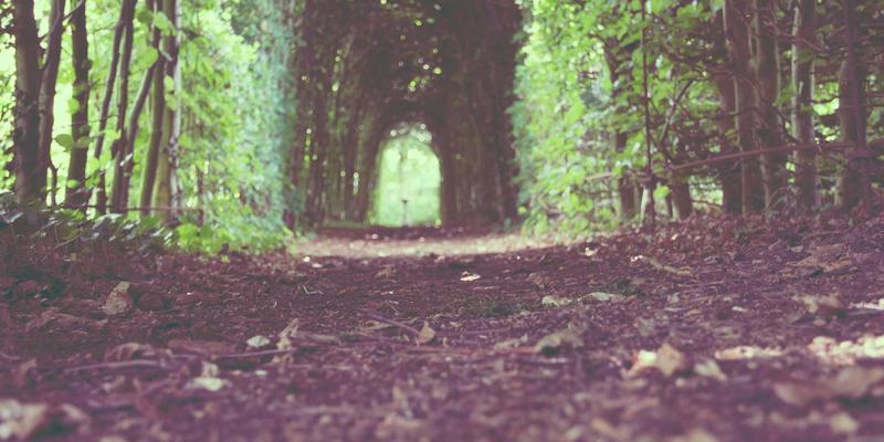 DVD压缩软件终极指南:高效压缩、编码与保存珍贵影音收藏