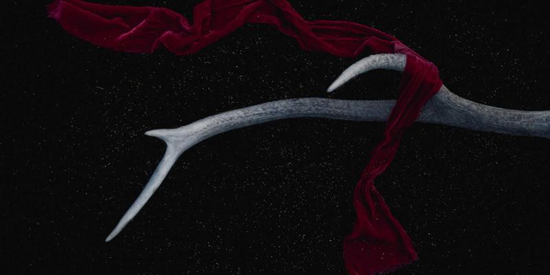 DVD压缩软件终极指南：高效备份与缩小DVD文件的专业方案