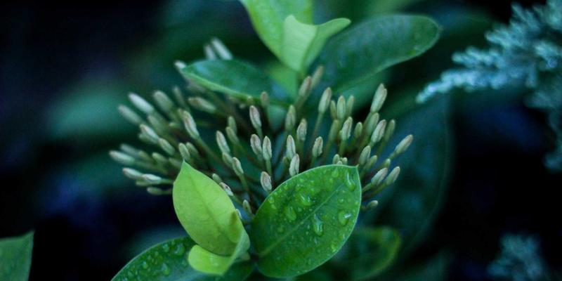 DVD压缩软件终极指南:高效备份与缩小DVD视频的完整方案