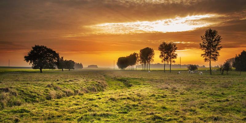 DVD压缩软件终极指南:高效编码与保存珍贵视频