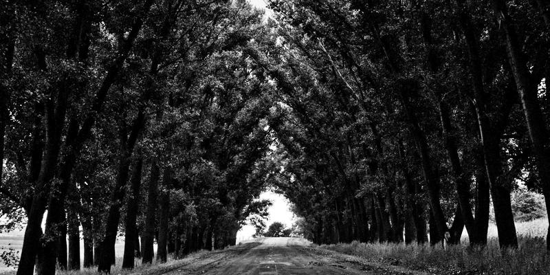 DVD压缩软件终极指南：高效编码与无损保存的秘诀