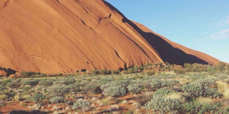 DVD压缩软件终极指南:高效编码、备份与存储解决方案