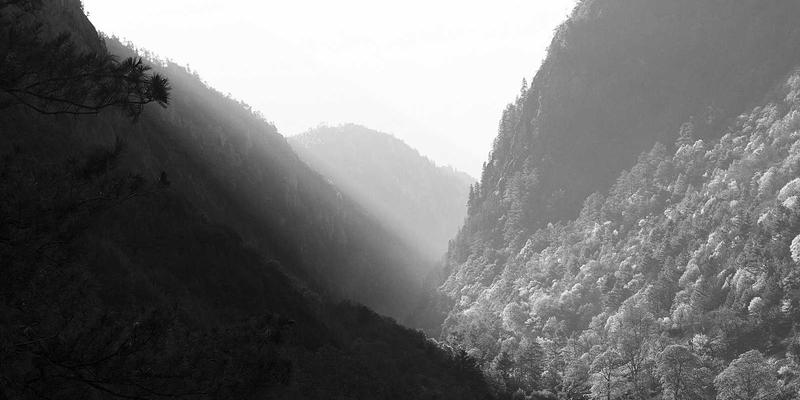 DVD压缩软件终极指南：高效编码、备份与存储解决方案