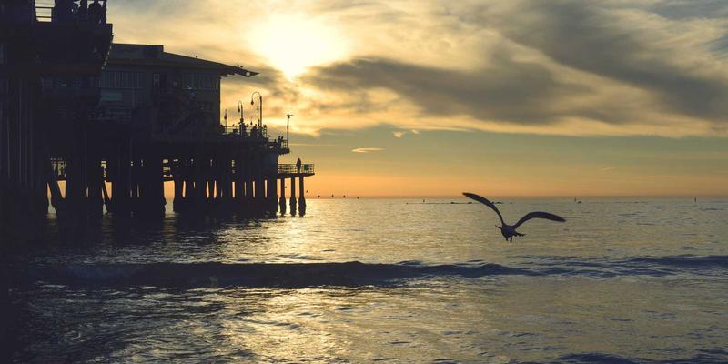 DVD备份革命：HEVC/H.265压缩真的值得漫长的编码等待吗？