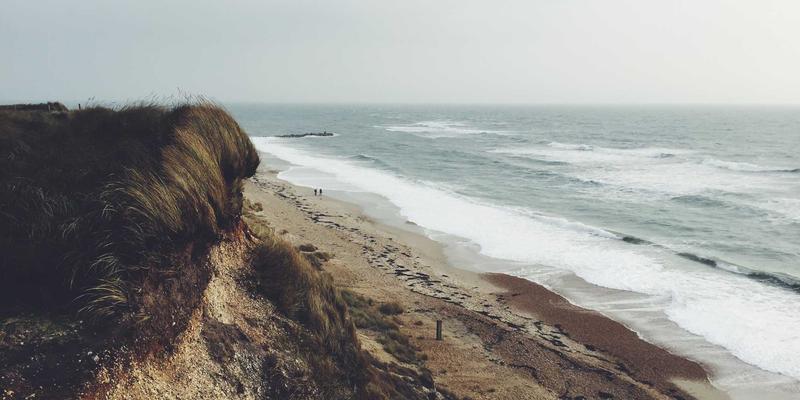 专业指南：使用DVD压缩软件备份后，如何高效管理元数据（批量重命名、添加封面与分类）