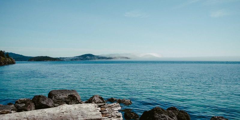 免费DVD压缩软件终极指南：针对动画、纪录片与家庭录像的智能编码策略