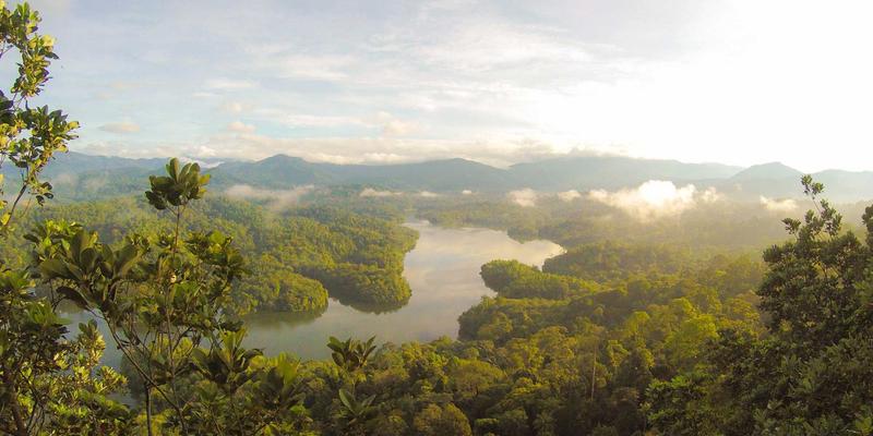 免费DVD备份与压缩全攻略：拯救老旧家庭影碟的一体化工作流程