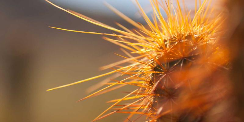 如何优化DVD压缩设置以完美上传YouTube：免费软件终极指南