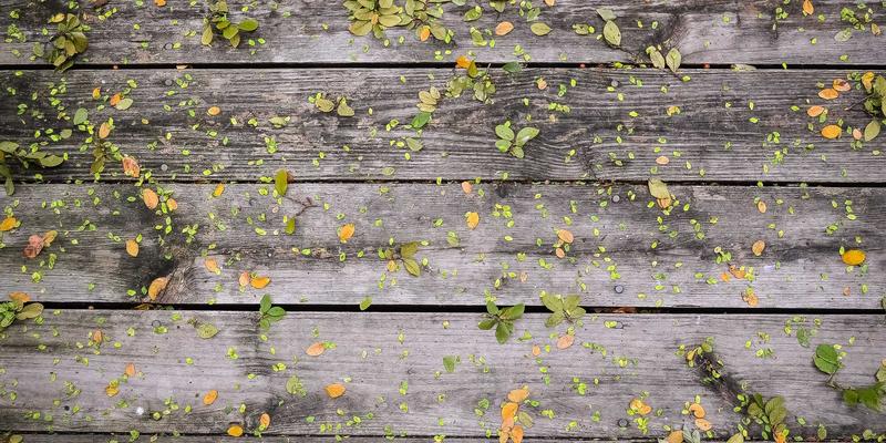 流媒体时代DVD备份指南：通过专业视频编码与压缩软件优化Plex/Jellyfin体验